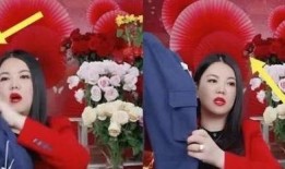 李湘房东爆料视频大全集,揭秘明星豪宅背后的真实故事